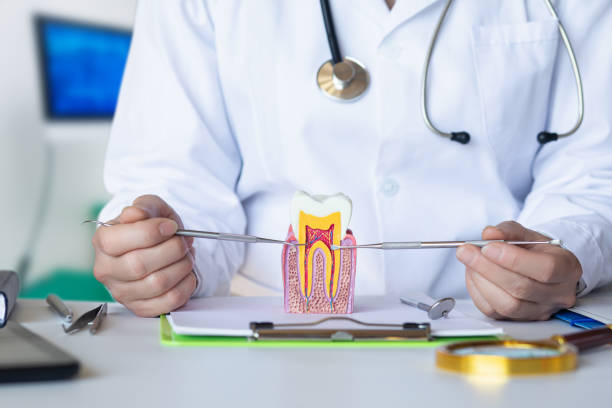 Best Emergency Orthodontic Repairs in Halls, TN